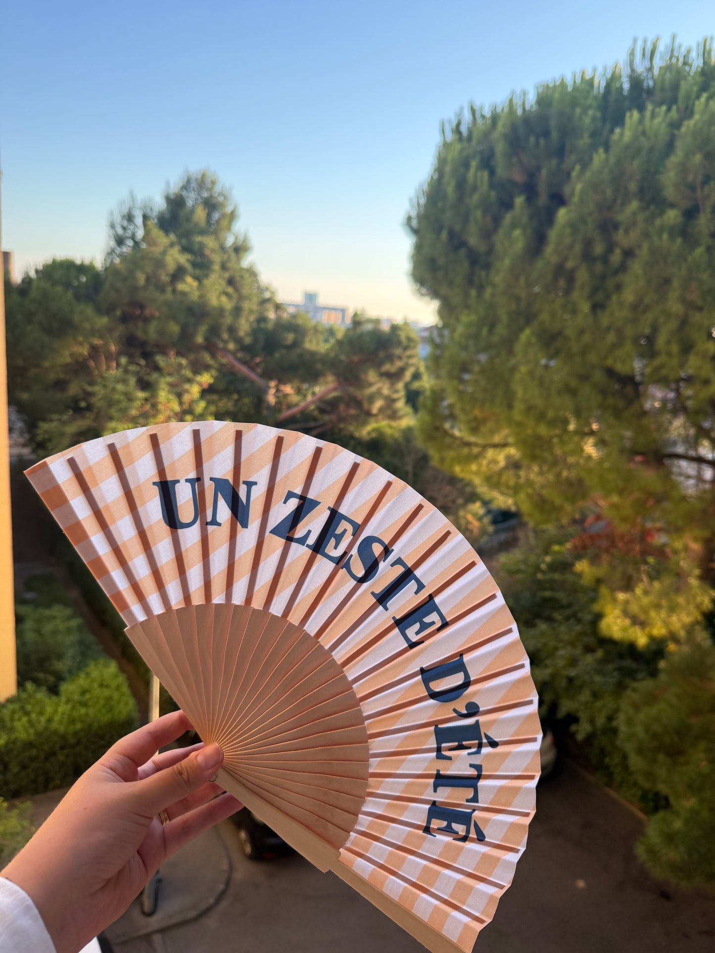 ÉVENTAIL « un zeste d’été »🪭